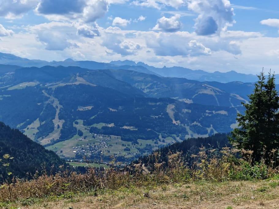 Appartement La Duchere Le Plan-La Giettaz Massif Des Aravis Экстерьер фото