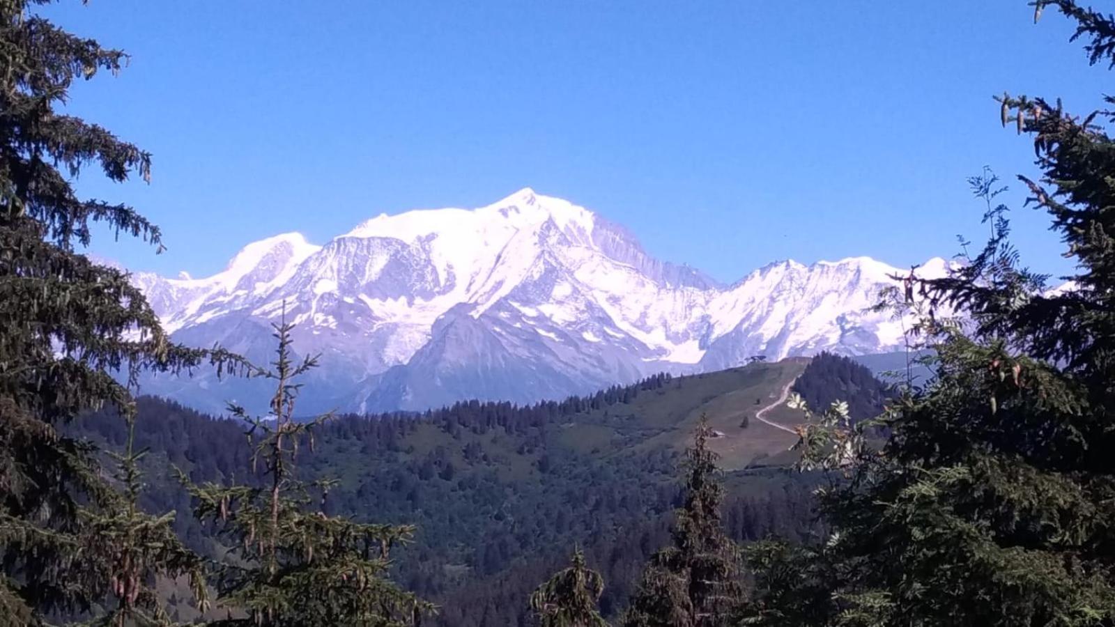 Appartement La Duchere Le Plan-La Giettaz Massif Des Aravis Экстерьер фото