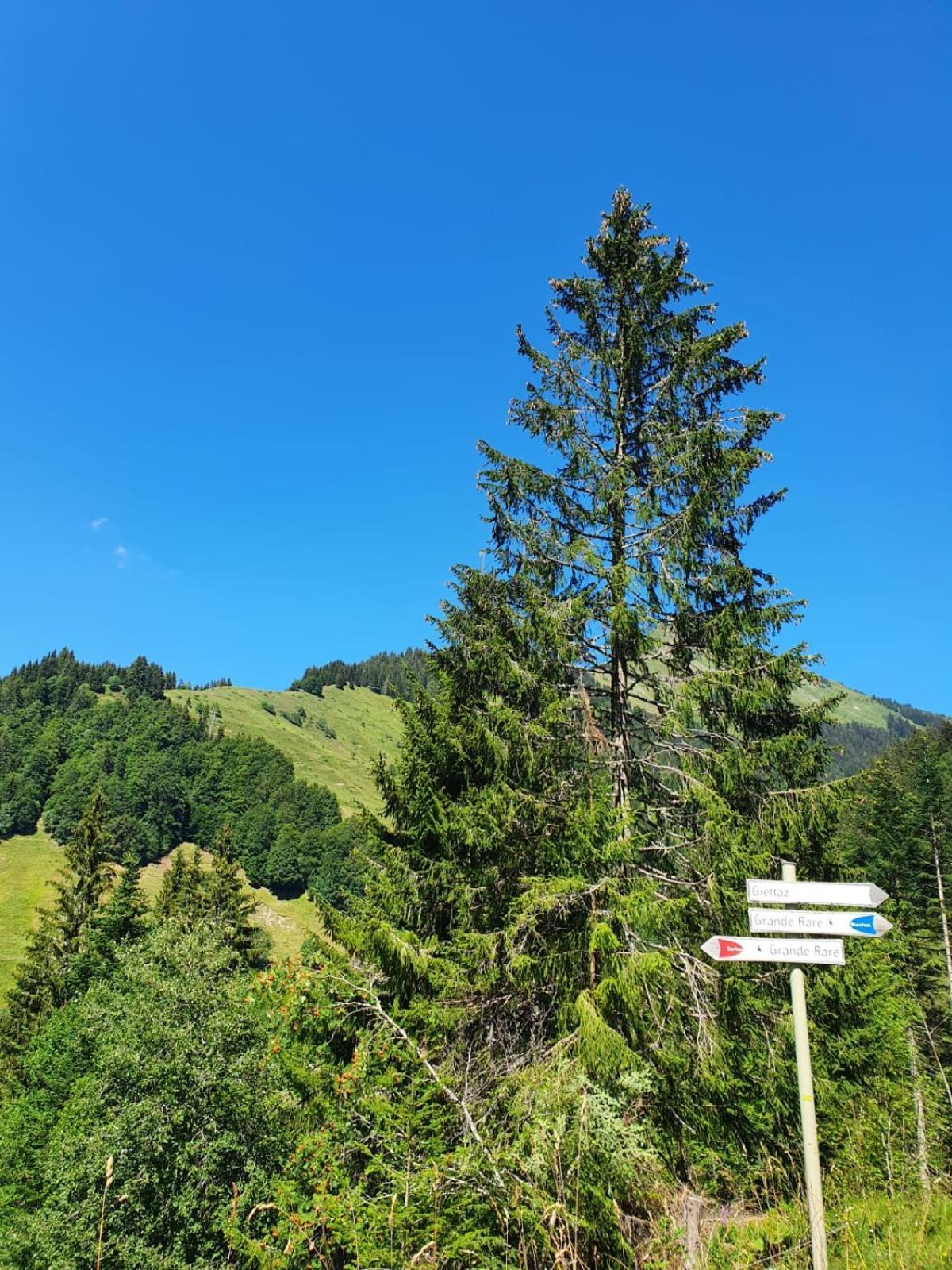 Appartement La Duchere Le Plan-La Giettaz Massif Des Aravis Экстерьер фото